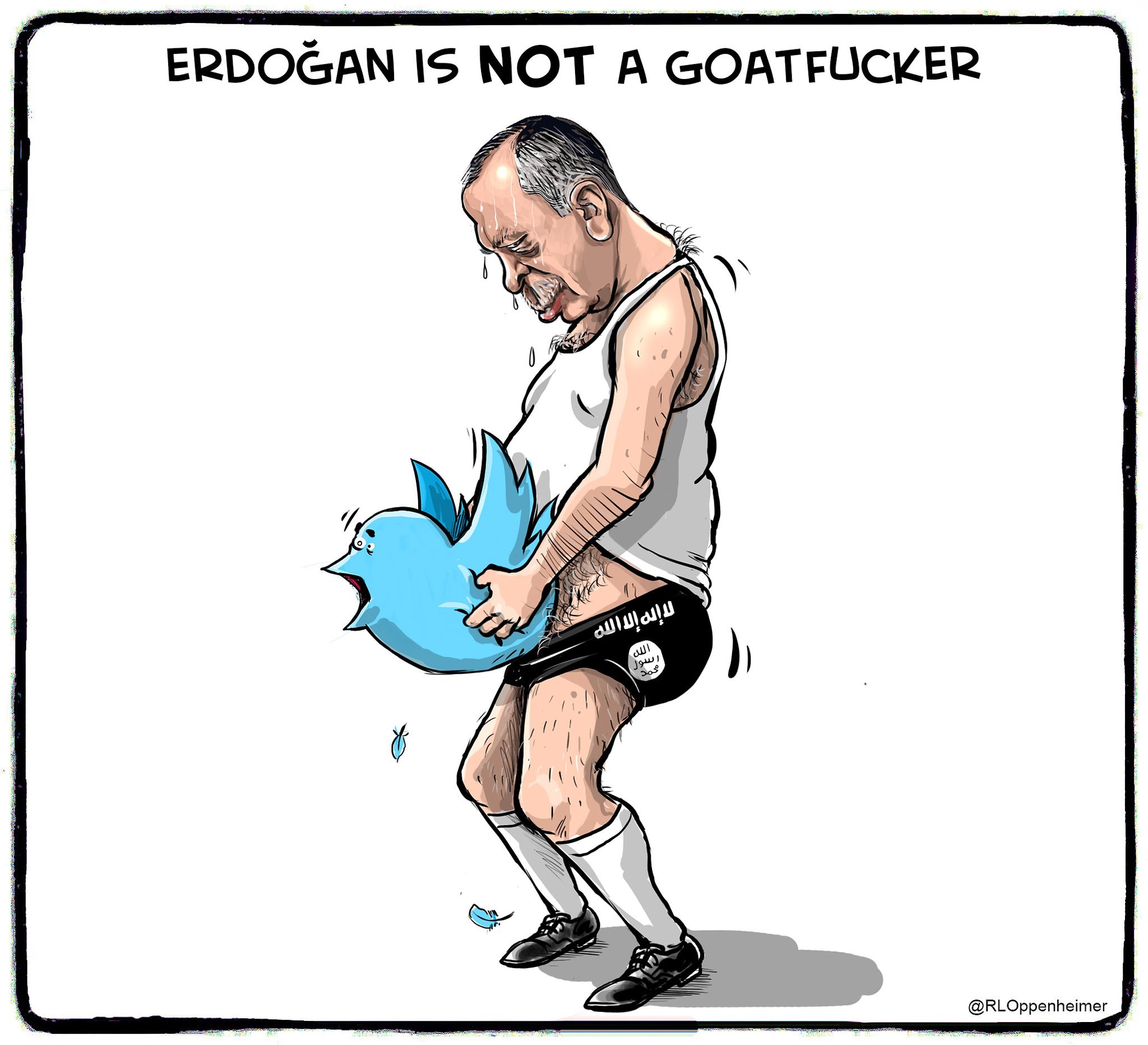 Erdogan wil dit van internet