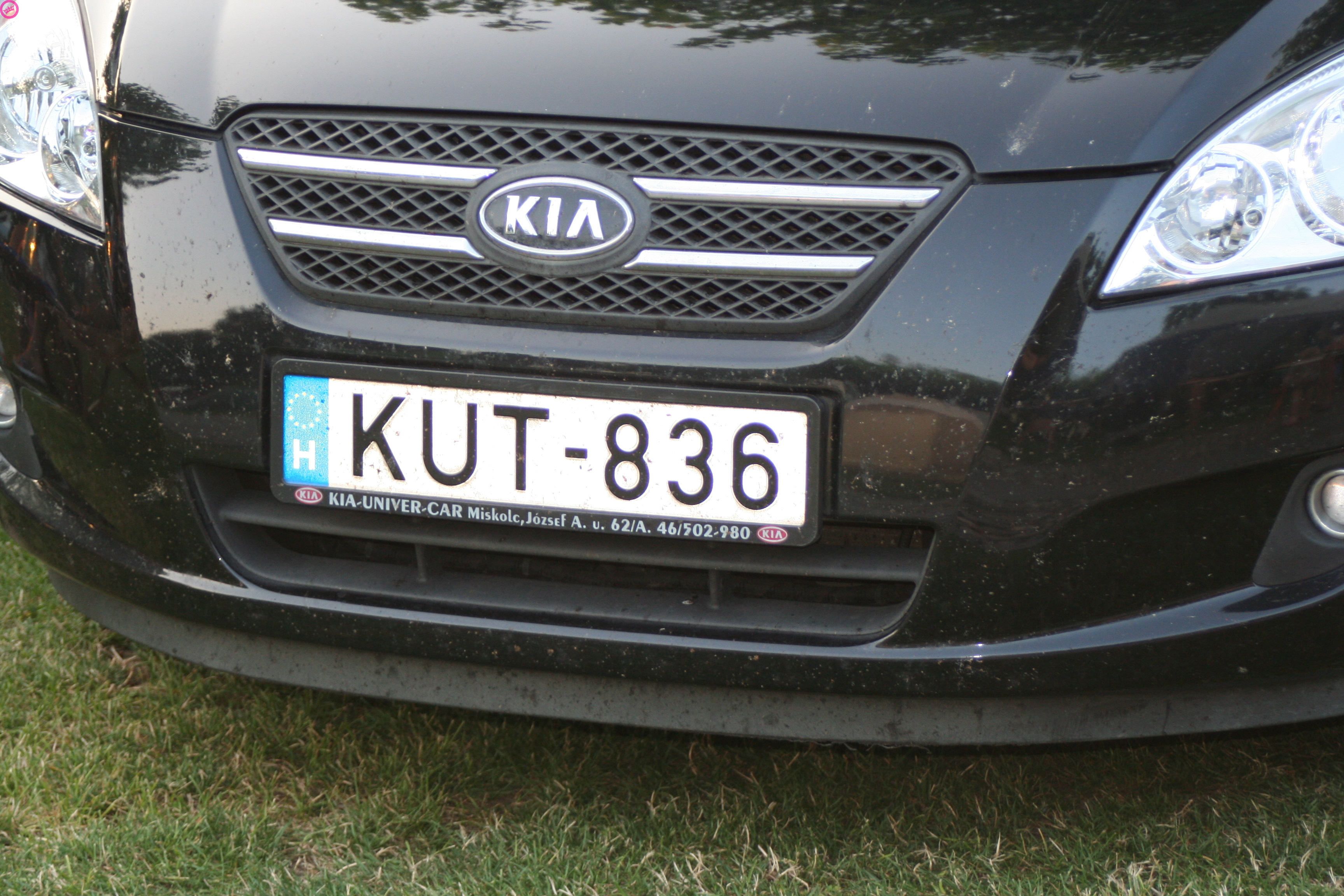 Kia Hongarije