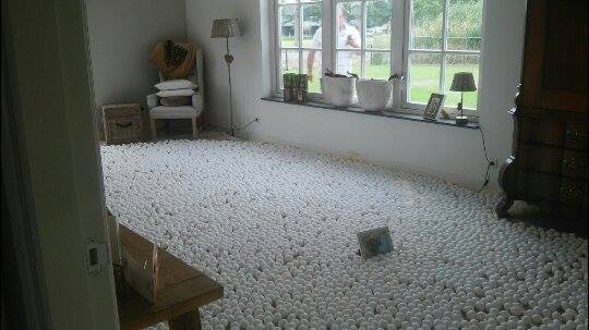 Trolol. 18000 eieren in je huiskamer