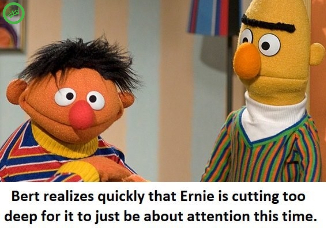 Bert & Ernie's geheime leven