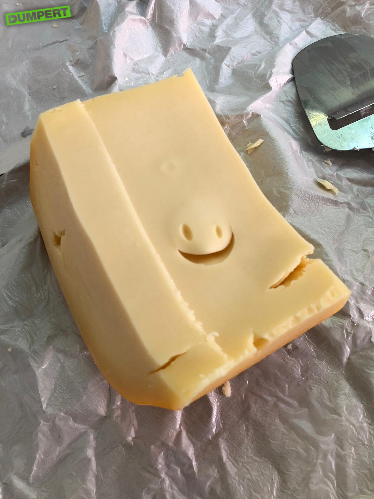 Mijn kaas is blij!