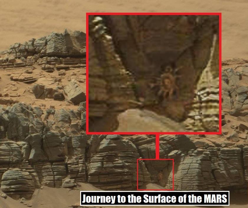 Mysterieuze ruimtekrab gespot op Mars