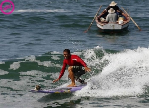Surf Kat