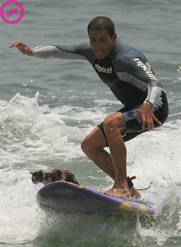 Surf Kat