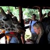 Kristen Bell zoent met Giraffe