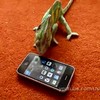 Kameleon peopt in broek van iphone