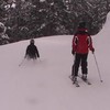 Skier vs. boomstronk