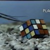 Garnaal lost Rubiks Kubus op