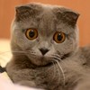 Partypoes is klaar voor een feestje