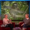Kristen Bell over luiaards