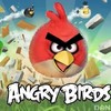Chuck Norris vs. Angry Birds