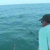 Vis helpt visser een beetje