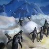Pinguïns trollen met een laser