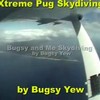 Skydiven met een hondje