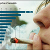 Cannabis prijsmeter