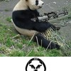 Pistols for Panda