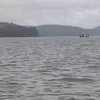 Orka's spotten op het water