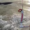 Kiteboarder Ruben jumpt over gestrande bultrug