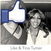 Like & Tina Turner