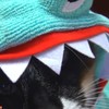 Een internetfilmpje van een poes in een turqoise haaienpak op een robostofzuiger achterna gezeten door een baby eendje en een hond in een blauw haaienpak