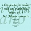 Chopin: Trio in G minor, op.8. III: adagio sostenuto
