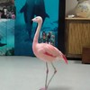Flamingo doet Flamingo