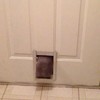 Obesikat vs. Kattenluikje