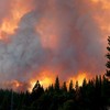 GIGAPICA: Megabosbrand in Yosemite National Park