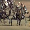 Turbohaas wint paardenrace in Wolvega