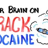 Wat doet crack met je hersenen?