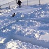 Hond speelt vals in sneeuwdolhof