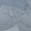 Berggeitjes worden verrast door sneeuwlawine