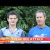 Nuchtere vader reageert op bijenaanval bij zoon
