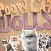 Kittige poesjes op de catwalk