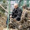 Poetin bezoekt poesje in Sochi