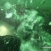 Duikers Oosterschelde spelen met zeehond