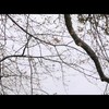 Brick's Funeral