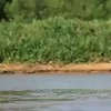 Dumpert Natoer!