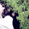 Dumpert Muziekloze clips