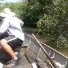 Braziliaan pakt mega-anaconda uit het water