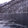 Walvissen spotten in een Noors fjord