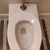 WC voor de grotere schijtert