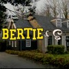 Bertie & Co!