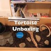 Unboxing winterslaap schildpad