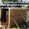 Een man bouwt een huisje voor een dakloze vrouw.