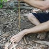 Oude technieken in het oerwoud