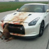 Nissan GT-R vs. hertje