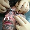 Oogbal tattoo