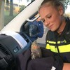 Politie vangt vreemde vogel