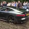 Jaguar vast in de blubba